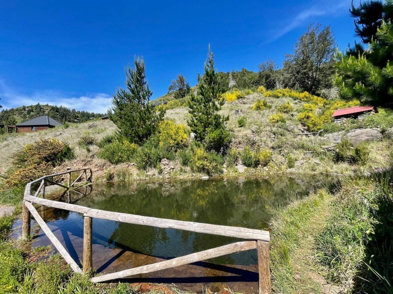 فندق Mountain Eco Shelter 7 فونشال المظهر الخارجي الصورة