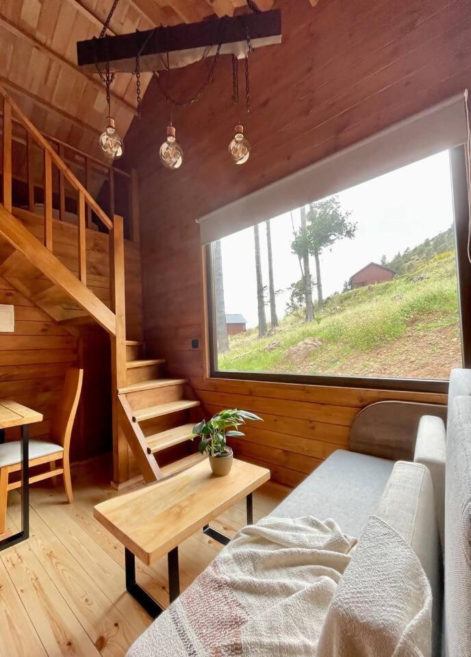 فندق Mountain Eco Shelter 7 فونشال المظهر الخارجي الصورة