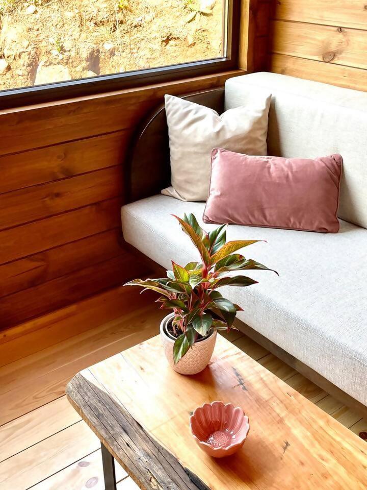 فندق Mountain Eco Shelter 7 فونشال المظهر الخارجي الصورة